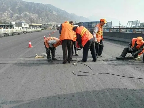 呈贡道路桥梁病害治理